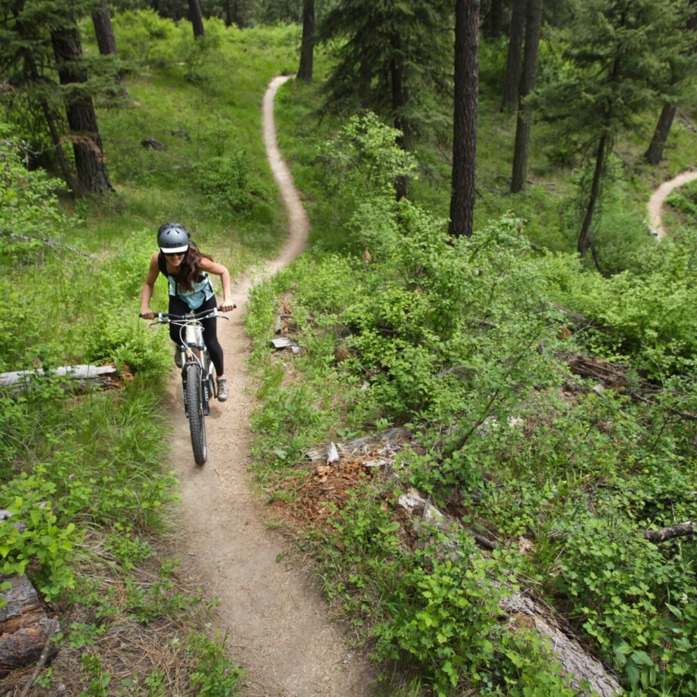 Iconic Idaho | Sponsored Iconic Idaho | Sponsored