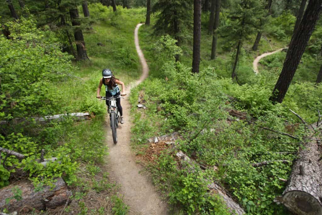 A mountain biker rides along a winding dirt trail surrounded by dense green forest in iconic Idaho.