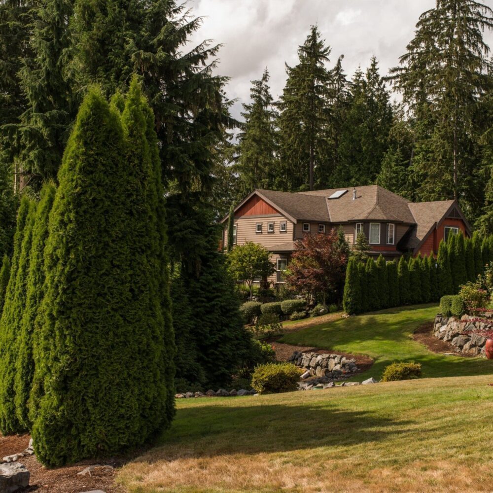 Sizzling Seattle Suburbia Sizzling Seattle Suburbia