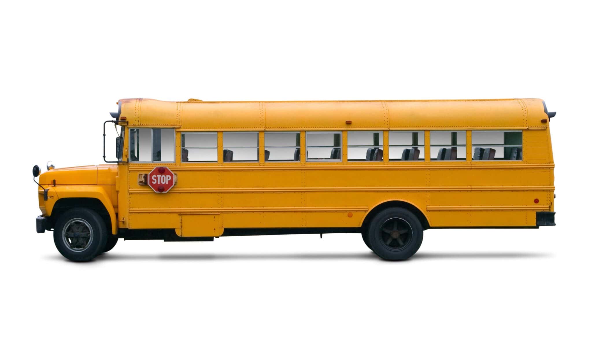 School Bus School Bus