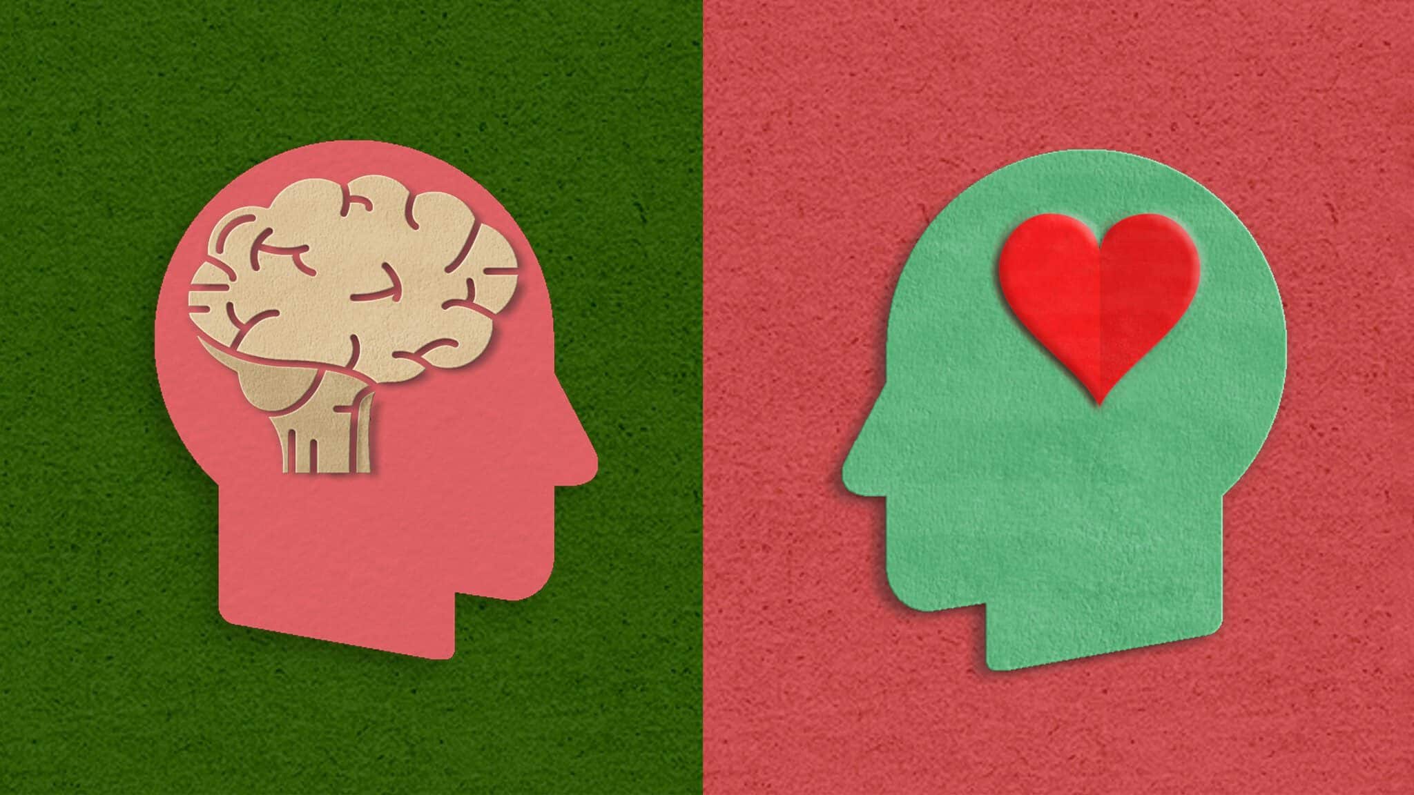 HeartAndBrain_1600x900 HeartAndBrain_1600x900