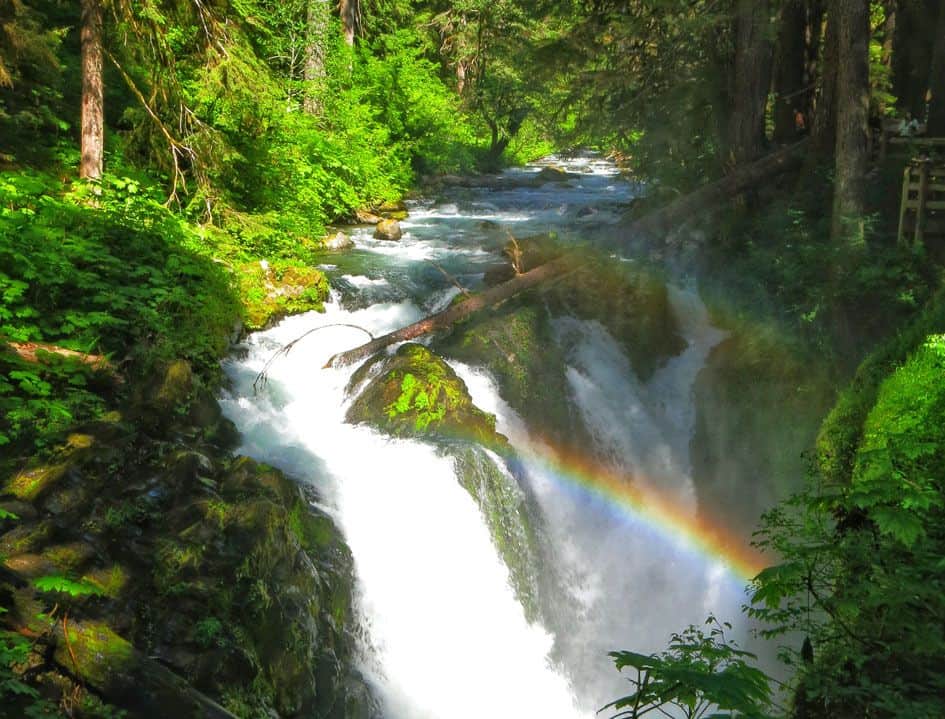 Chasing Waterfalls on the Olympic Peninsula Chasing Waterfalls on the Olympic Peninsula