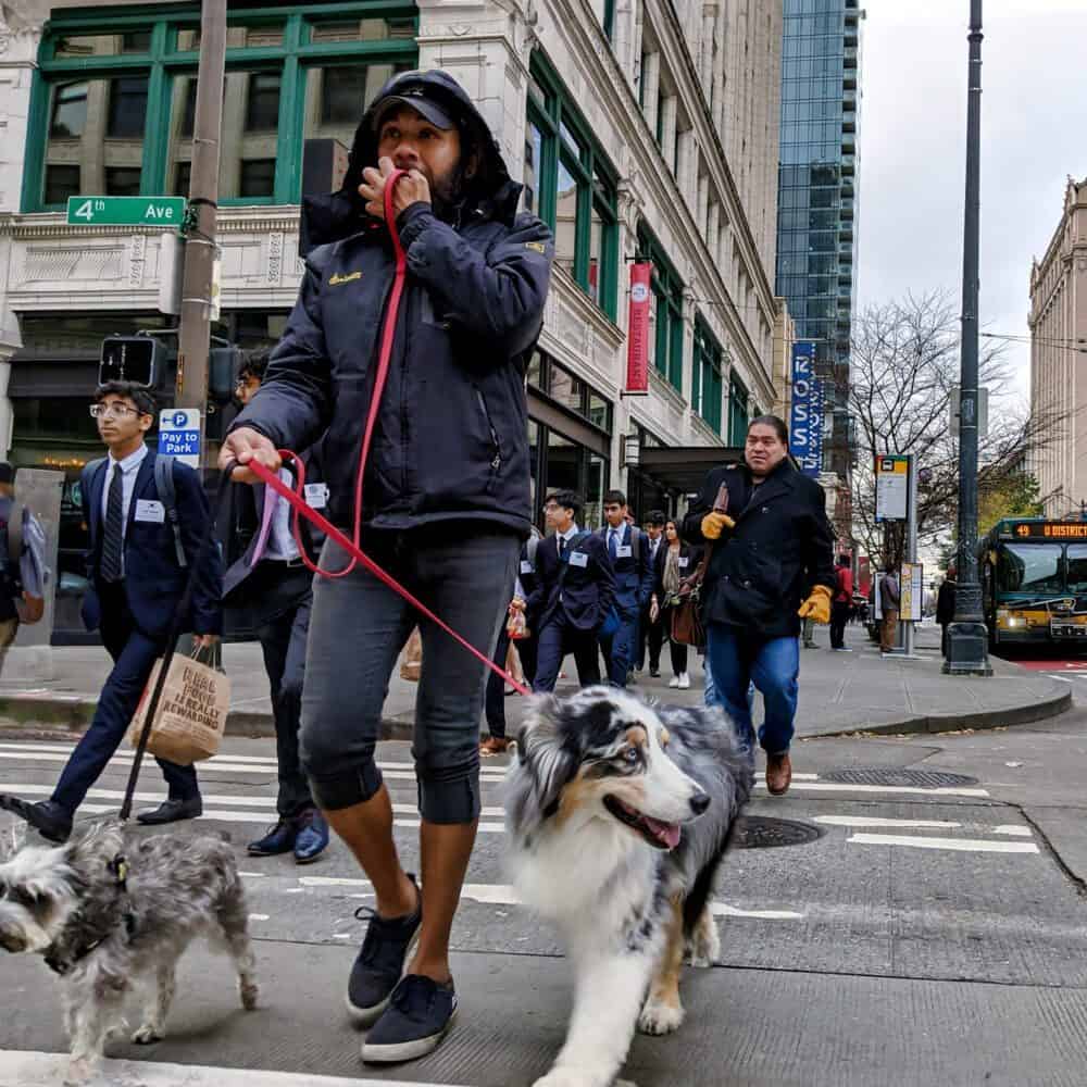 Foot Traffic Rises Again in Downtown Seattle Foot Traffic Rises Again in Downtown Seattle