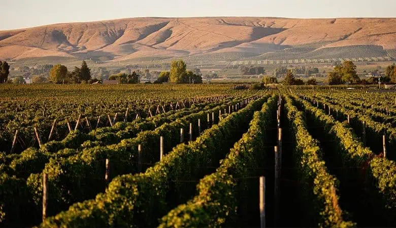 5 Reasons to Take a Craft Beverage Tour in Yakima, WA 5 Reasons to Take a Craft Beverage Tour in Yakima, WA