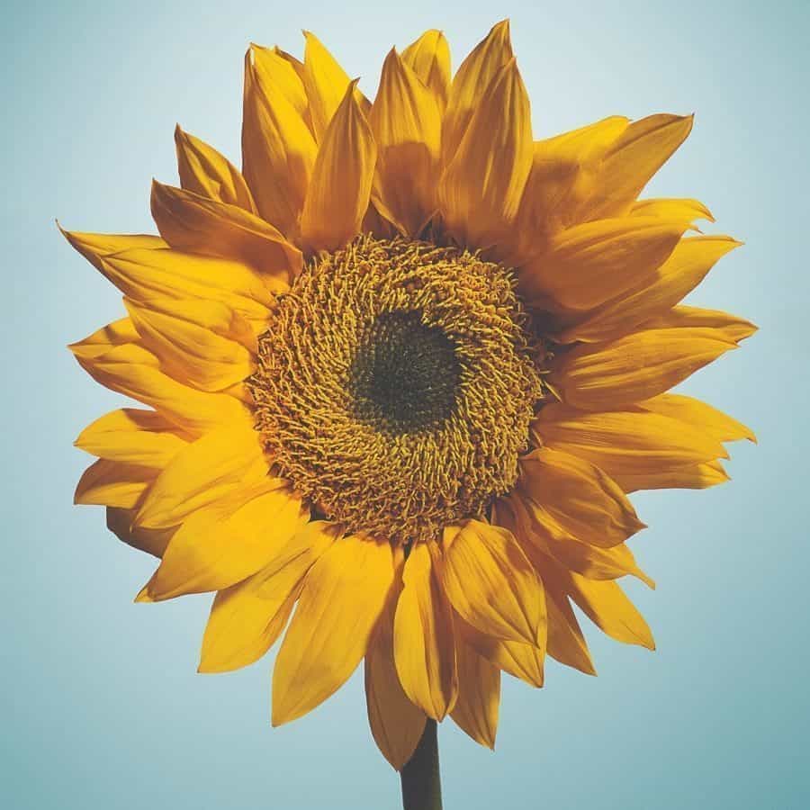 How These Seattle Nonprofits Are Making a Difference How These Seattle Nonprofits Are Making a Difference