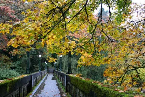 5 Free Seattle Experiences to Discover Now 5 Free Seattle Experiences to Discover Now