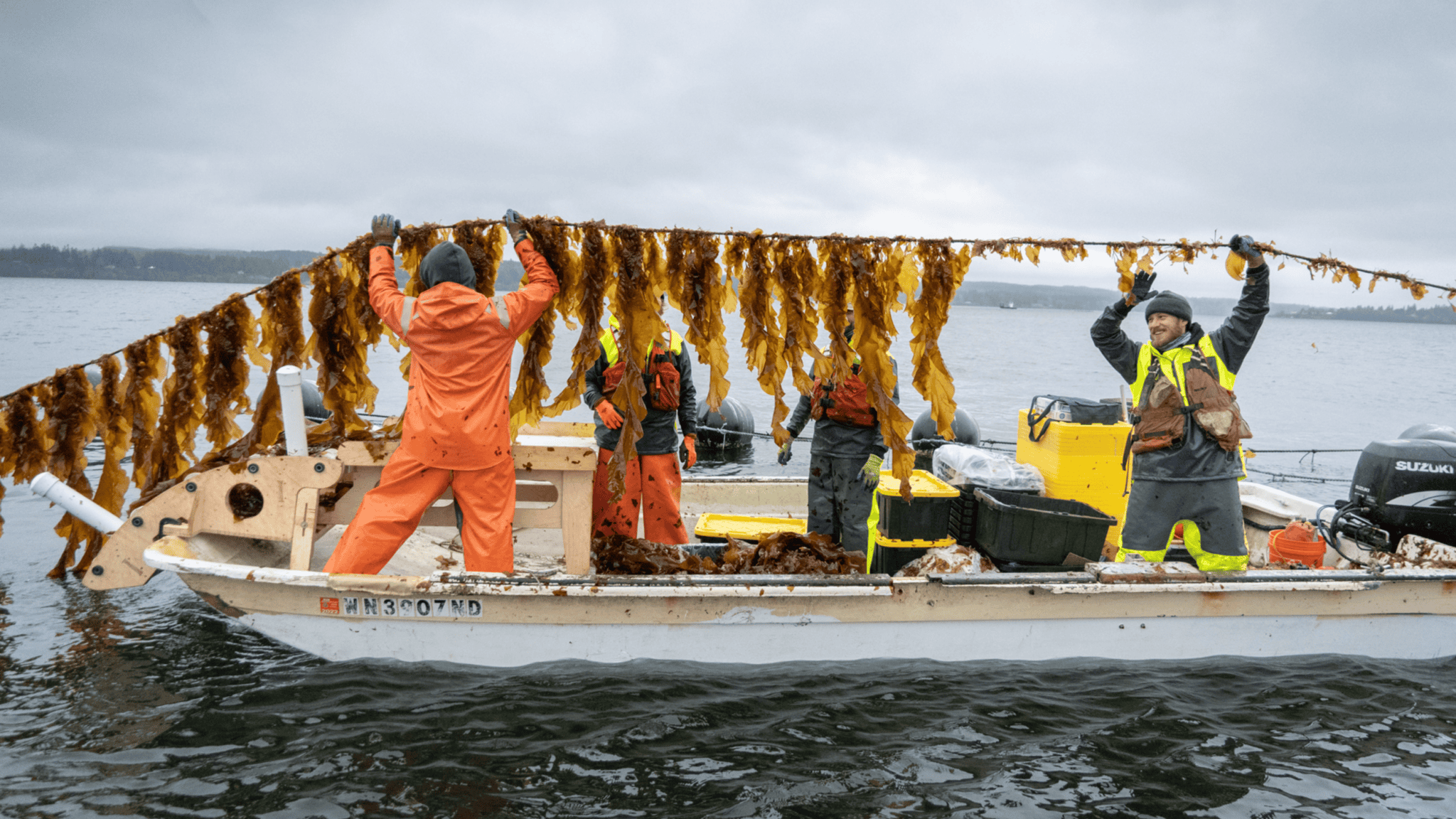 Seacharrones-KelpHarvest2022-hires-00331-cropped BDSF Manager Charlie Delius leads the annual kelp harvest in Hood Canal